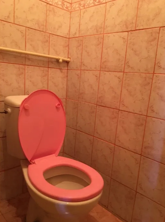 продажа однокомнатной квартиры номер A-173834 в Приморском районе, фото номер 6